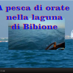 Video pesca in laguna a Bibione