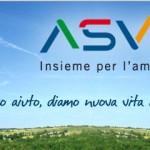 Asvo