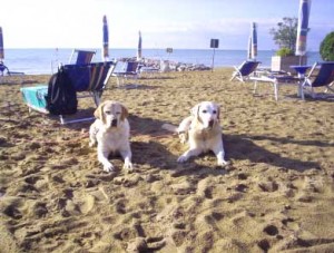 "Dog Beach" a Bibione