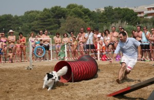 Agility Dog a Bibione Lido dei Pini