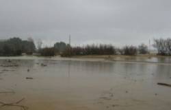 Bibione mareggiata