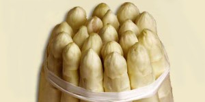 asparago bianco di Bibione