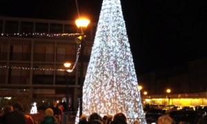 Bibione 2012, Albero di Natale