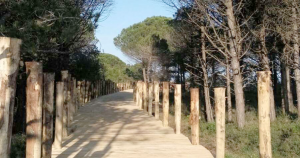 Nuova pista ciclopedonale verso il faro di Bibione