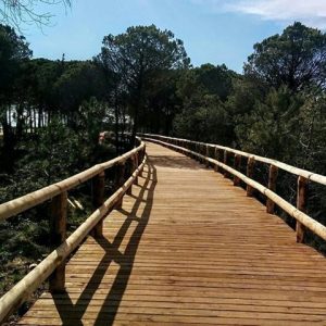 pista ciclopedonale che porta al Faro di Bibione