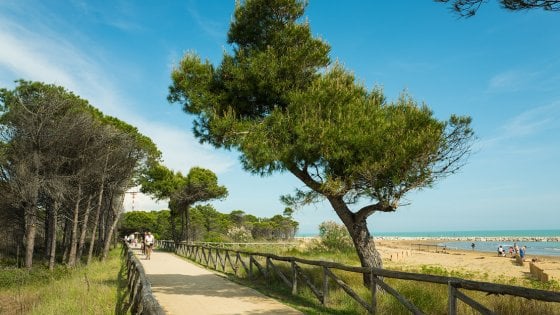 Bibione pista ciclabile